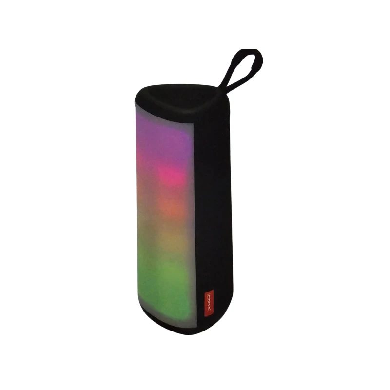 Haut-parleur sans fil Modèle IC-BS1351